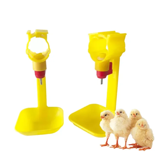 Pipette abreuvoir