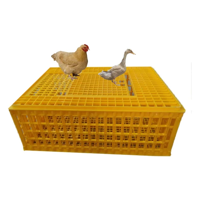 Caisse de transport